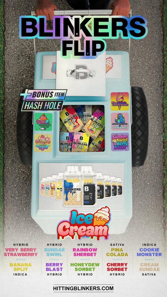 BLINKER FLIP 2G DISPO + HASHHOLE